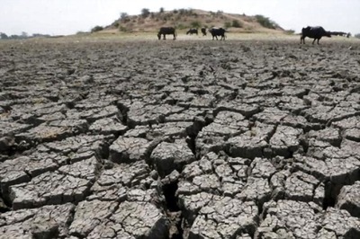 BRICS Environment Ministers to Meet in Goa on Sep 16