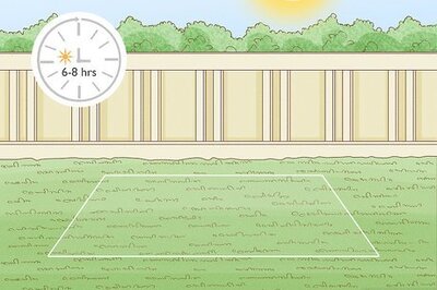 How to Grow Beans and Peas