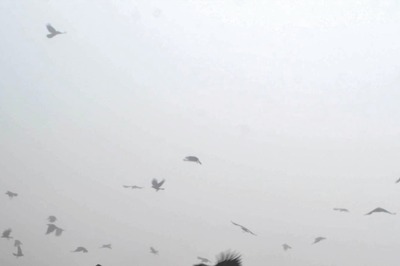 Weather Updates: 25 Dead in UP's Prayagraj, IMD Says 'Intense' Cold Wave Likely from Tomorrow; Flights, Trains Delayed in Delhi