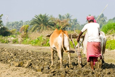 Tussle in Telangana over Tenant Farmers as Congress Finds Fertile Ground to Baffle BRS