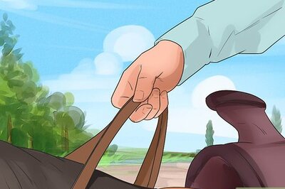 How to Make a Horse Stop Rearing while Riding