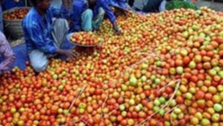 Orange tomatoes rich in antioxidant