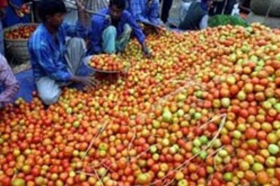 Orange tomatoes rich in antioxidant