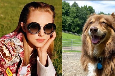 Amanda Seyfried on What Makes Dogs Great Characters on Screen: 'It's Their Playfulness and Curiosity'
