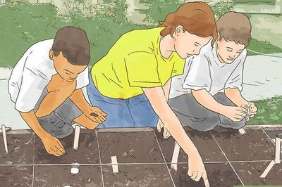 How to Have Fun at School