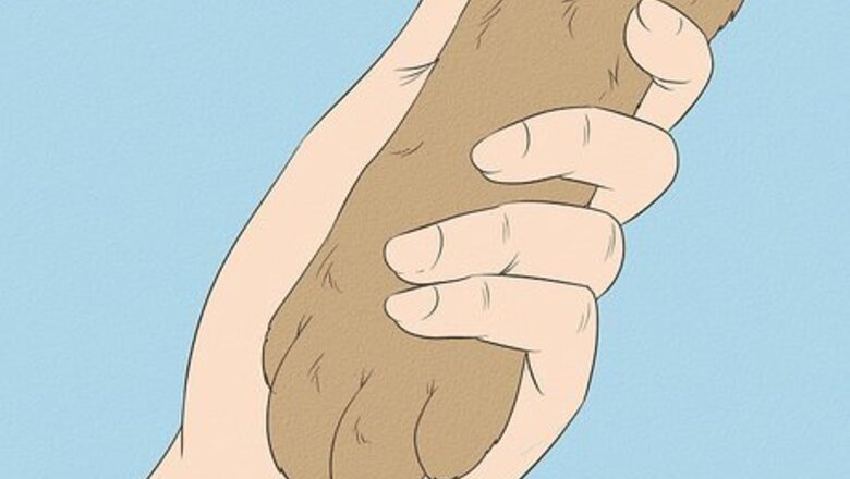 How to Cut an Uncooperative Dog's Nails