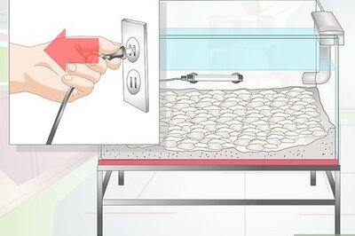 How to Clean Aquarium Gravel