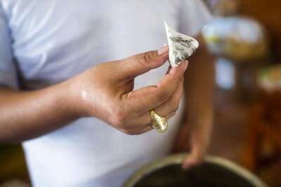 Edible Birds Nest Industry Proves To Be Goose That Lays Golden Eggs for Myanmar