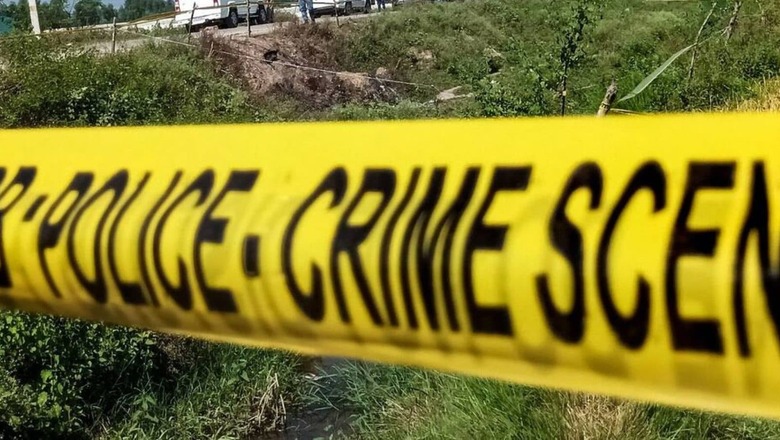 Capital Crime: Rape Tripled, Kidnapping of Women Doubled in Delhi in Last 10 Years, Says Police Data
