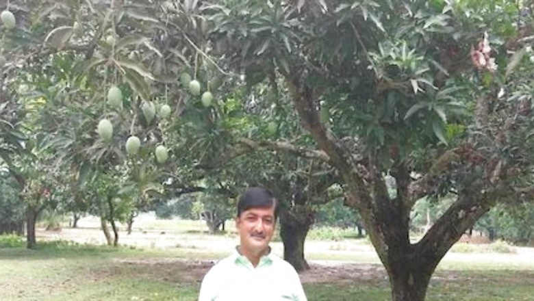 Bihar 'Mango Man' To Name Fruit After PM Narendra Modi, UP CM Yogi Aditynath