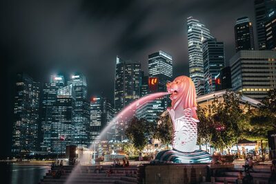 Singapore Airlines To Stop Using Paper Boxes for In-Flight Meals After Travellers' Feedback: Report
