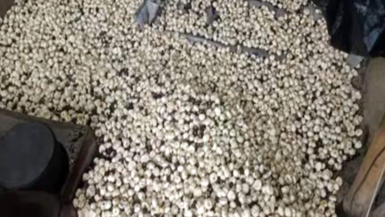 In Bihar's Kosi, Thriving Makhana Industry Set To Double Revenues In Few Years
