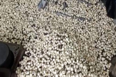 In Bihar's Kosi, Thriving Makhana Industry Set To Double Revenues In Few Years