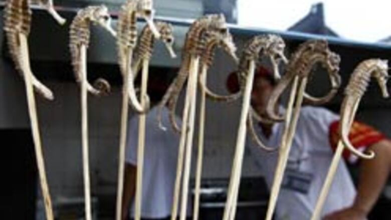 Beijing menu: scorpion fry, seahorse kebab