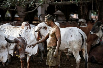 Padma Shri German Woman Running Cow Shelter in UP Alleges Extortion, Threat to Life