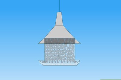 How to Stop Squirrels from Eating Your Birdseed