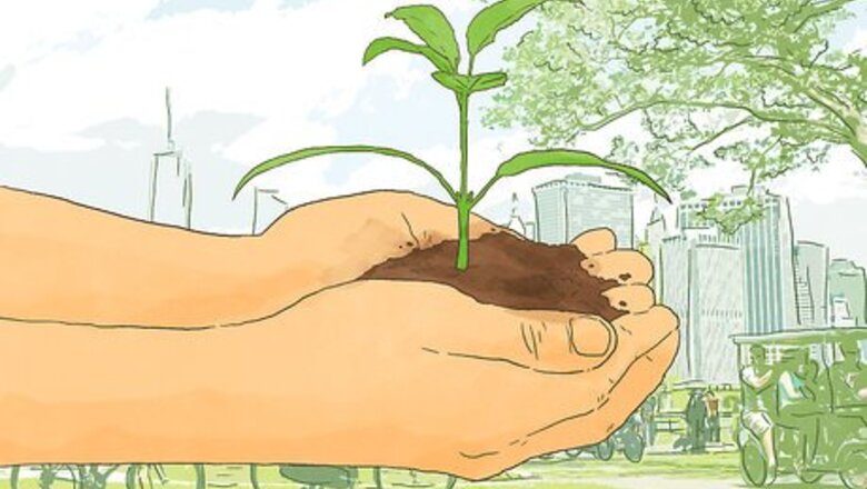 How to Buy a Carbon Offset