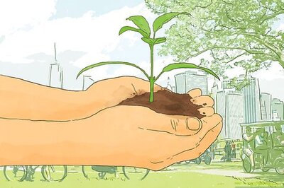 How to Buy a Carbon Offset