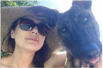 Pool Days are Back for Preity Zinta as She Goes Swimming with Dog Bruno