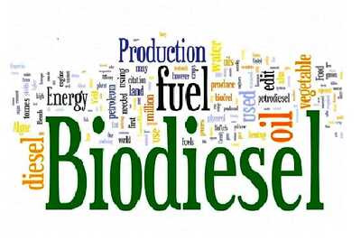 Biodiesel: The Future Fuel of Automobiles in India - Analysis