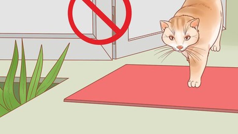 How to Keep Cats Safe on Halloween