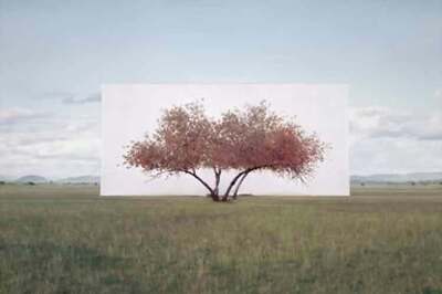 23 countries to participate in 'Dubai Photo Exhibition'