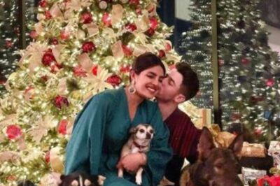 Inside Priyanka Chopra's Christmas Celebration Featuring a Kiss From Nick Jonas and 'Family'
