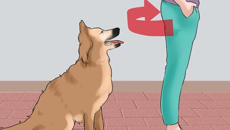 How to Discourage Your Host's Obnoxious Dog