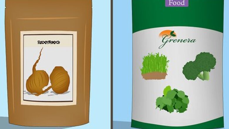 How to Use Superfood Powders