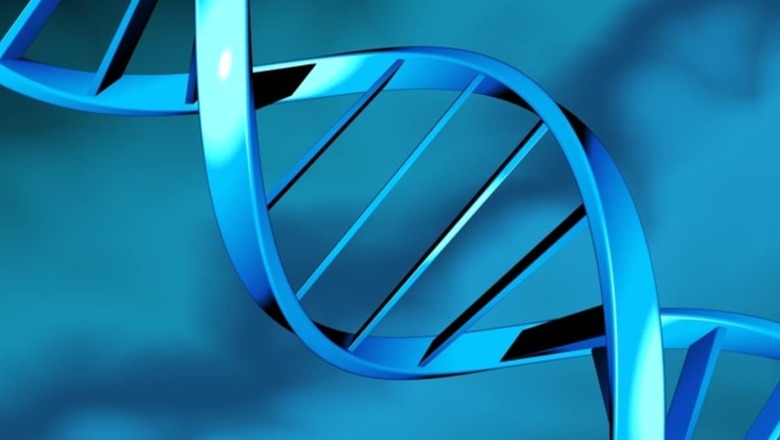 New Study Sheds Light on the Reason for Worse Cancer Outcomes Among Older Men