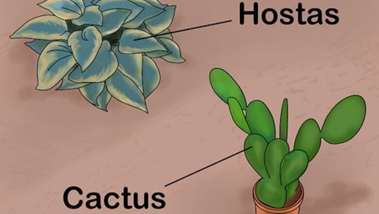 How to Plant a Low Water Garden