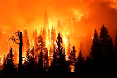 Massive Wildfire Races Toward Turkish Power Plant, Choppers Fill Buckets at Sea to Douse Flames