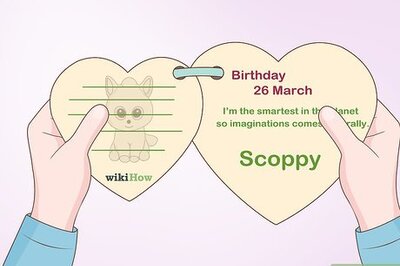 How to Take Care of and Have Fun with a Beanie Boo