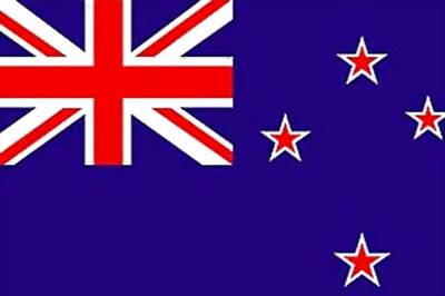 Strong quake rattles New Zealand's North Island