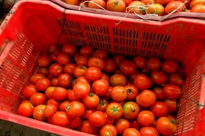 News Digest: Huge Surge in Dal, Tomato, Potato Prices & Other Stories