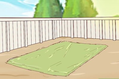 How to Plant Turing Sunflowers