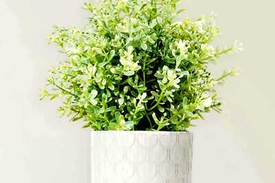 Prepare Your Home for the Festive Season With These Essentials