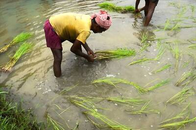 Union Budget 2018 is Anti-Kisan, Pro-corporate, Says Farmers Outfit