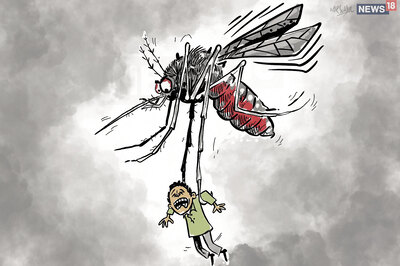 Dengue Cases Rise in Jammu, 217 Tested Positive Since January This Year