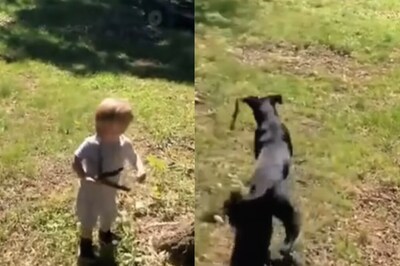 Watch: Child Mistakes Snake For Twig, Father’s Presence Of Mind Saves Him