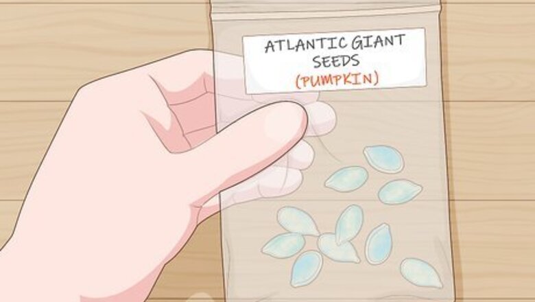 How to Grow Giant Vegetables