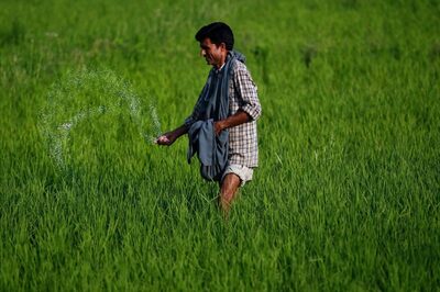 Mandaviya Inaugurates IFFCO's 2 Nano-urea Plants in UP; Says Nano-DAP Approved by Expert Panel