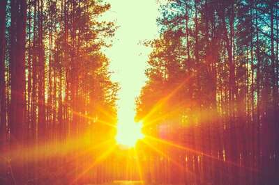 Aaj Ka Panchang, February 16, 2024: Tithi, Vrat, and Today’s Shubh, Ashubh Muhurat