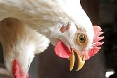 China missed 2003 human bird flu case