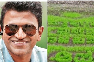 Puneeth Rajkumar Fan Sows Paddy in Unique Pattern in Memory of the Kannada Star