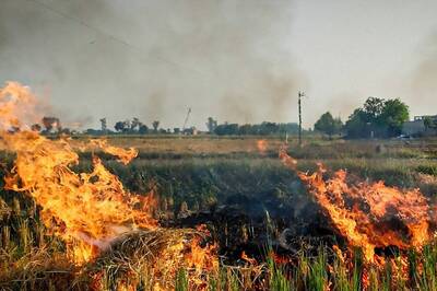 Hyperactive Haryana vs Politicking Punjab: What The Two States Are Doing As Stubble Burning Continues