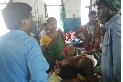 Royal Bengal Tiger Spotted in Lalgarh Attacks Three, One Remains Critical