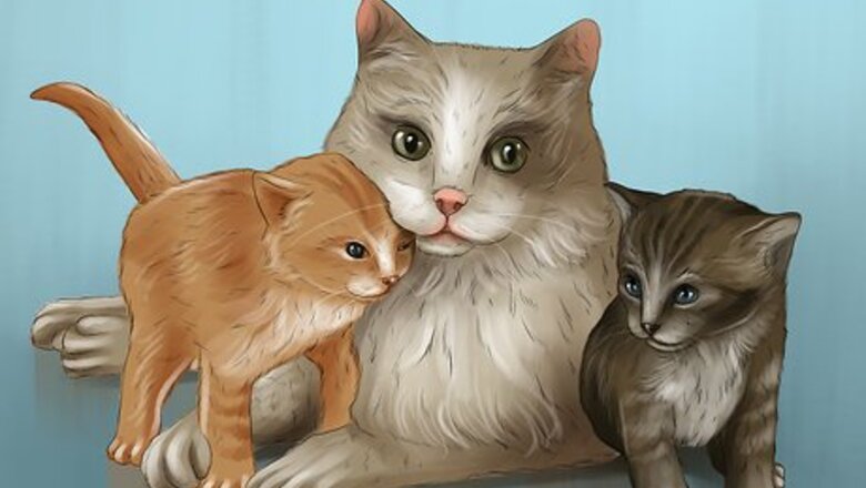 How to Teach a Kitten to Play Nice