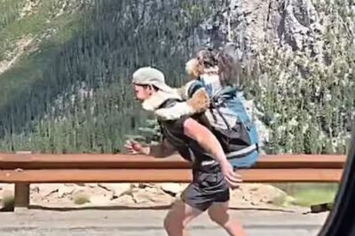 A Look At This Man And His Dog's Adorable Hill-side Adventure