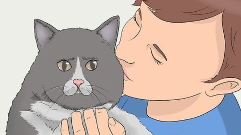 How to Keep a Cat in Your Yard